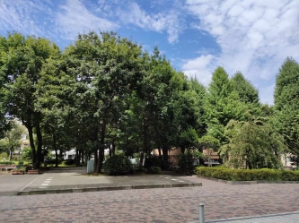 市原ゼミ02