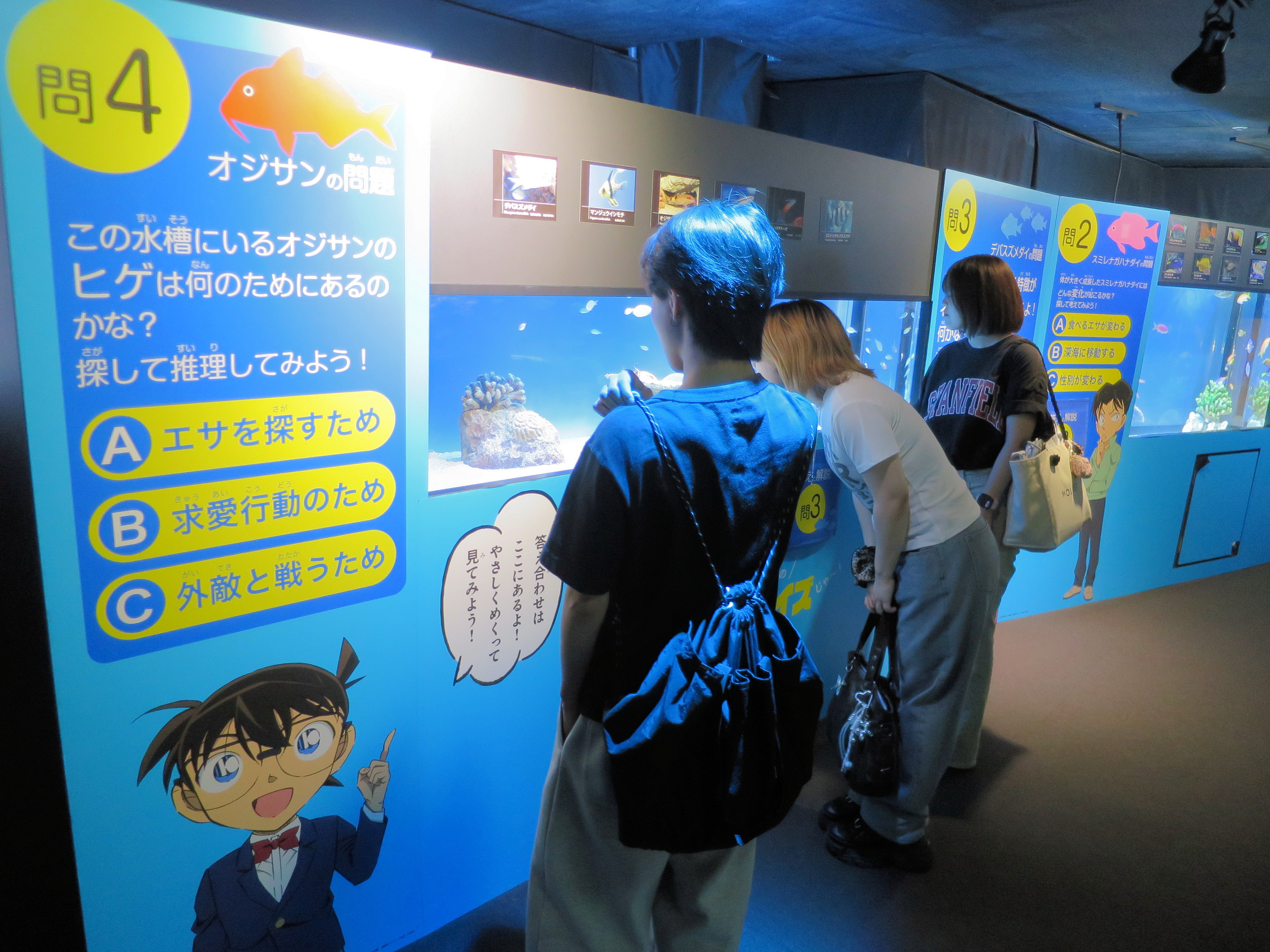 写真2
