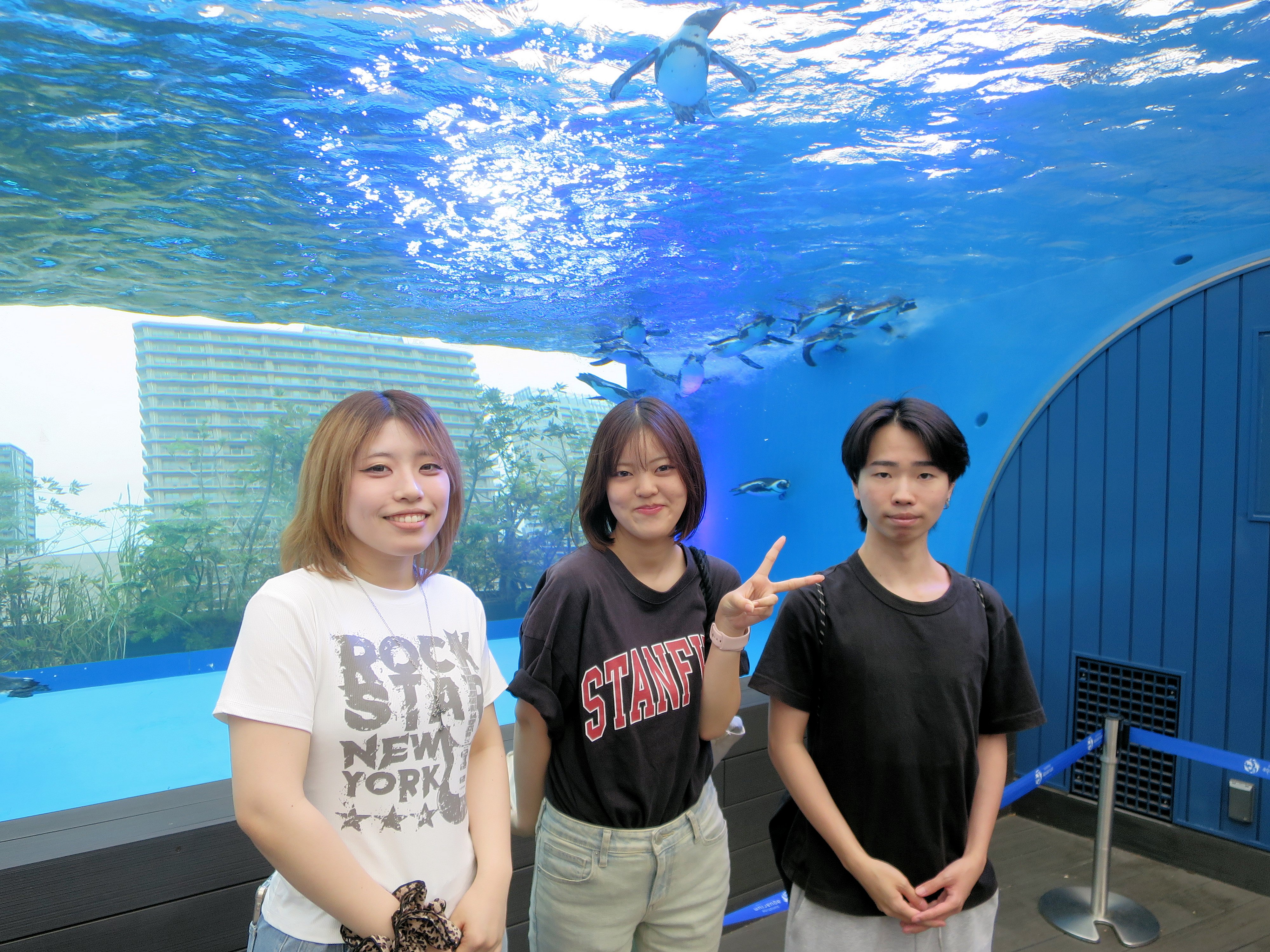 写真4